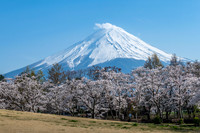 Mt. Fuji from Yagizaki Park, Japan