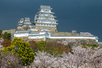 Himeji Castle