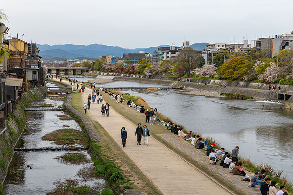 Kama River, Kyoto