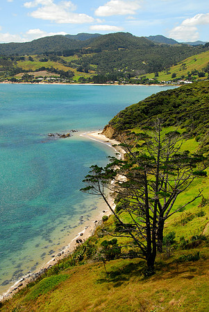 View towards Omapere, New Zealand