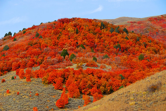 Logan to Salt Lake, Road 89, Utah
