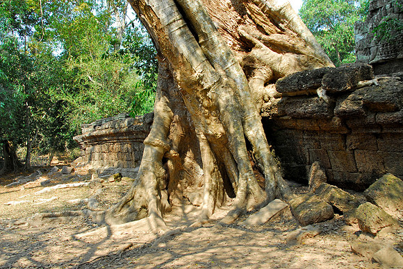 Ta Prohm, Cambodia