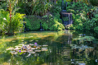 Fairchild Tropical-Botanic Garden, Miami