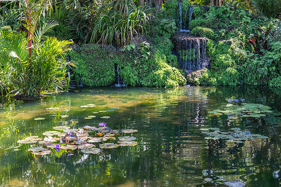Fairchild Tropical-Botanic Garden, Miami