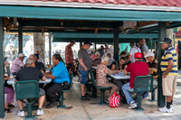 Domino Players, Little Havana, Miami