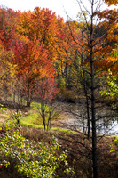 Fall Colors, Traverse City, Michigan