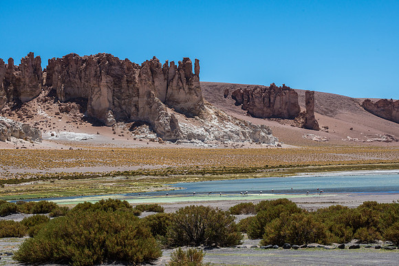 Salar de Tara