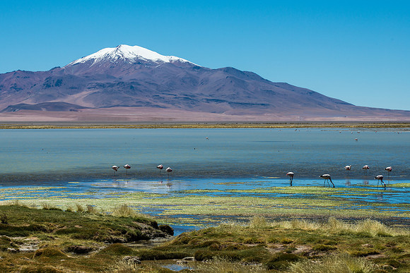 Salar de Tara