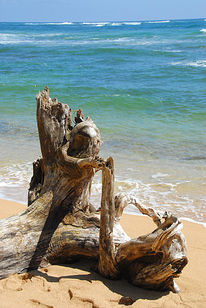 Wailua Coast, Kauai