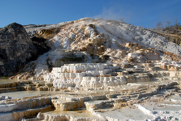 Palette Spring, Mammoth, Yellowstone