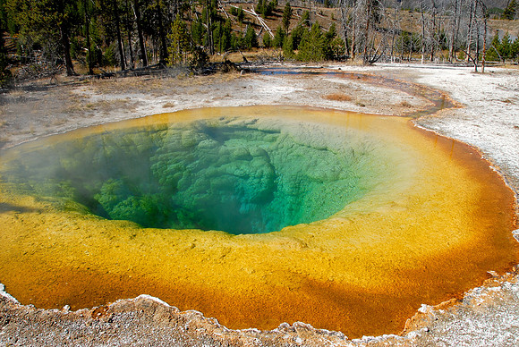 Morning Glory Pool, Yellowstone