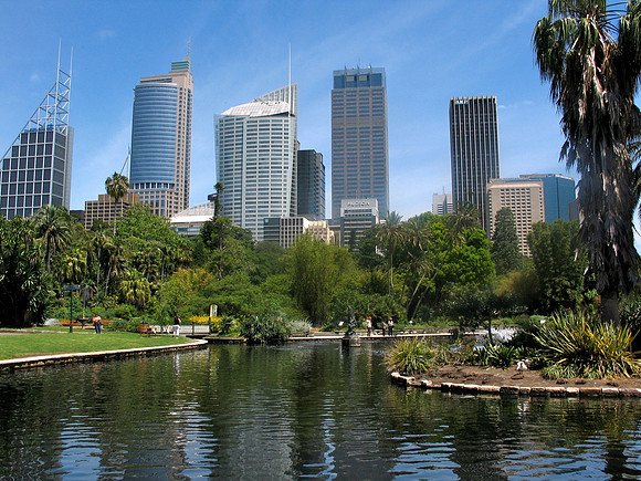 Skyline from Botanical Gardens, Sydney