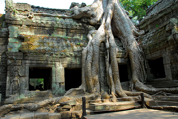 Ta Prohm, Angkor