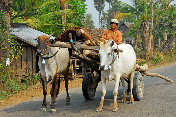Tonle Sap to Beng Melea Temple, Angkor