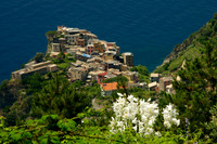 Village of Corniglia