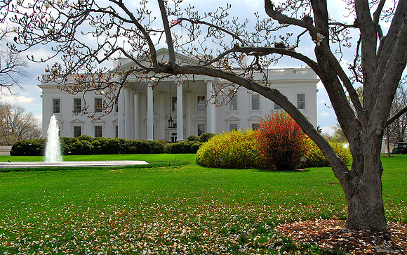 The White House