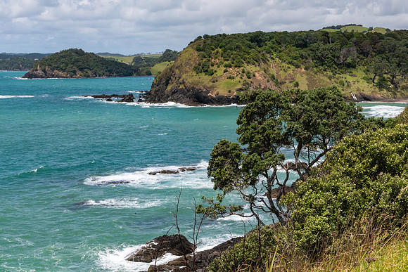 Whananaki Coastal Trail, New Zealand