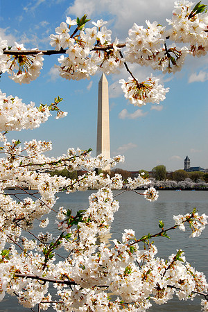 Washington Monument