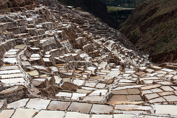 Salt Fields, Maras
