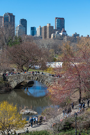 Central Park