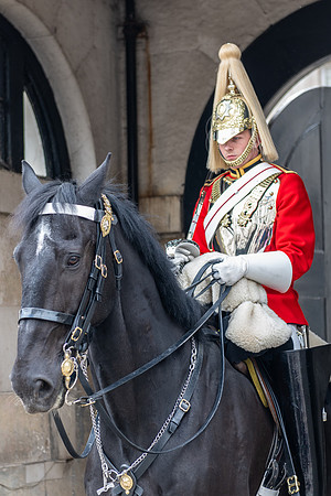 Royal Household Cavalery, London