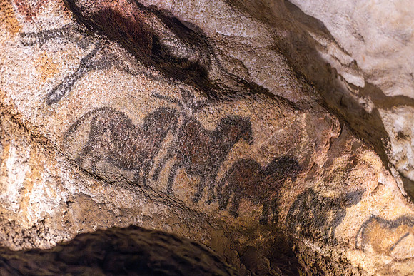 Prehistoric Paintings (16000 years old), Lascaux, Occitania