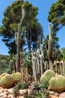 Cap Roig Botanical Gardens, Catalonia