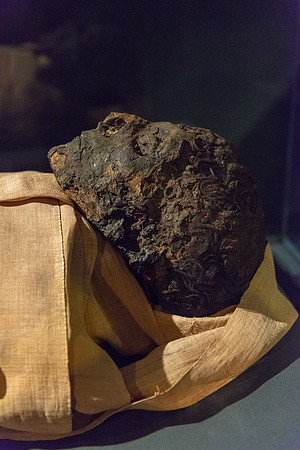Mummy of Pharaoh Ahmose, Luxor Museum