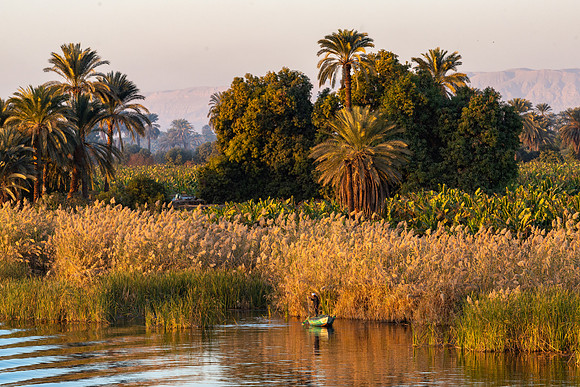 Fisherman along the River Nile