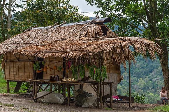 Road Side Vendor, Cameron Highlands