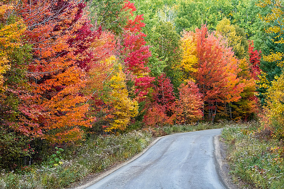 A Rural Road in Maine