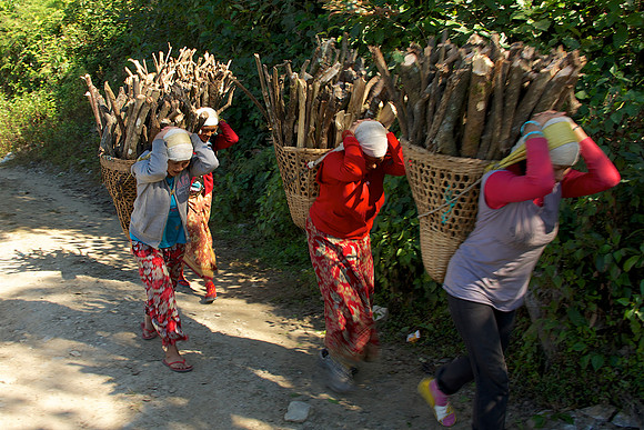 Women Carrying Wood, Annapurnas